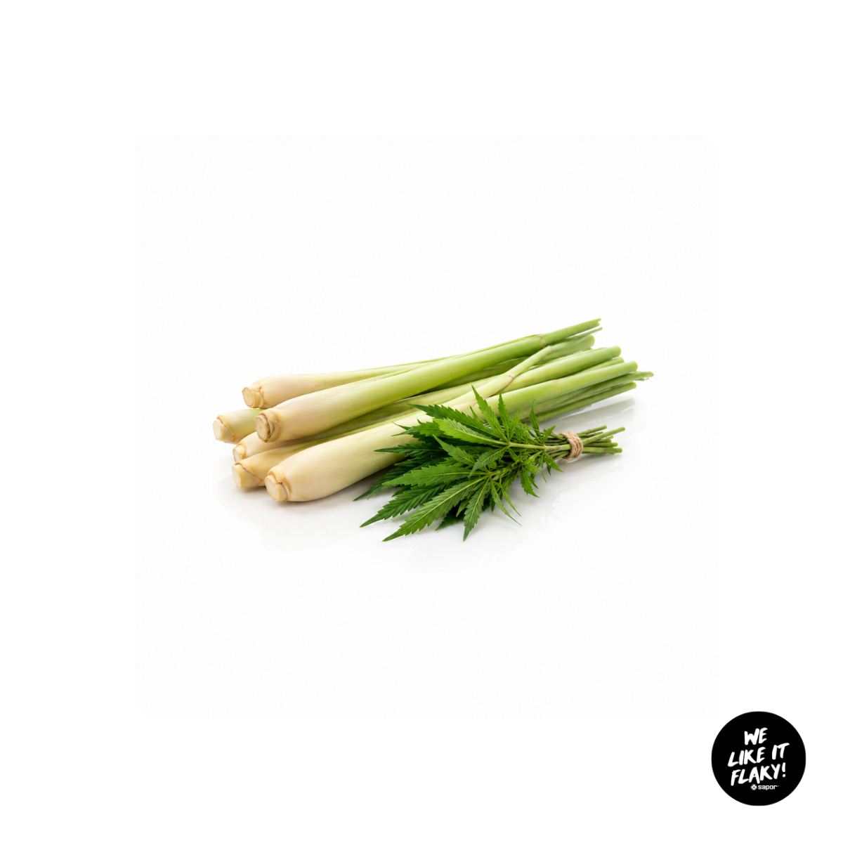 SAPOR Trockenseife - Lemongrass Hanf Zitronengras