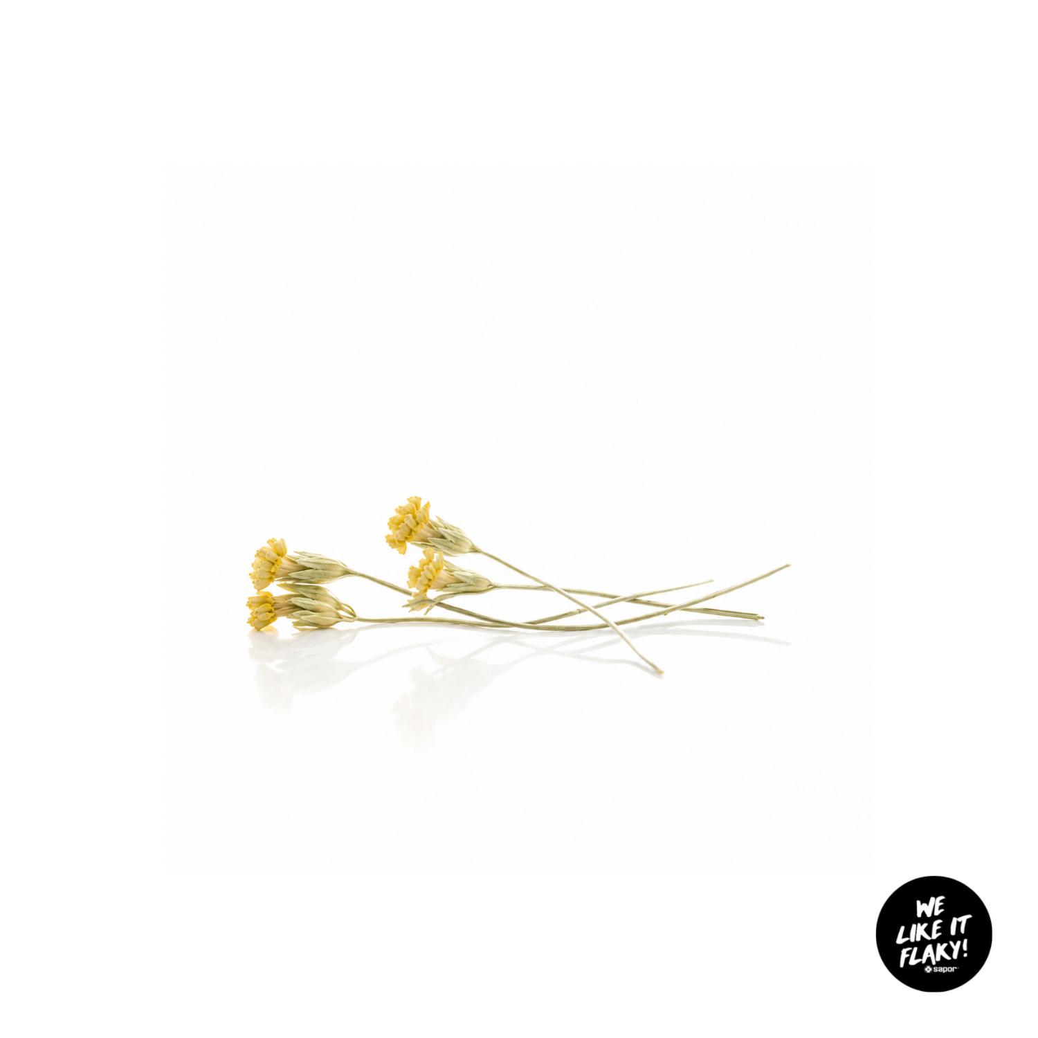 SAPOR Trockenseife - Schlüsselblume Himmelsschlüssel
