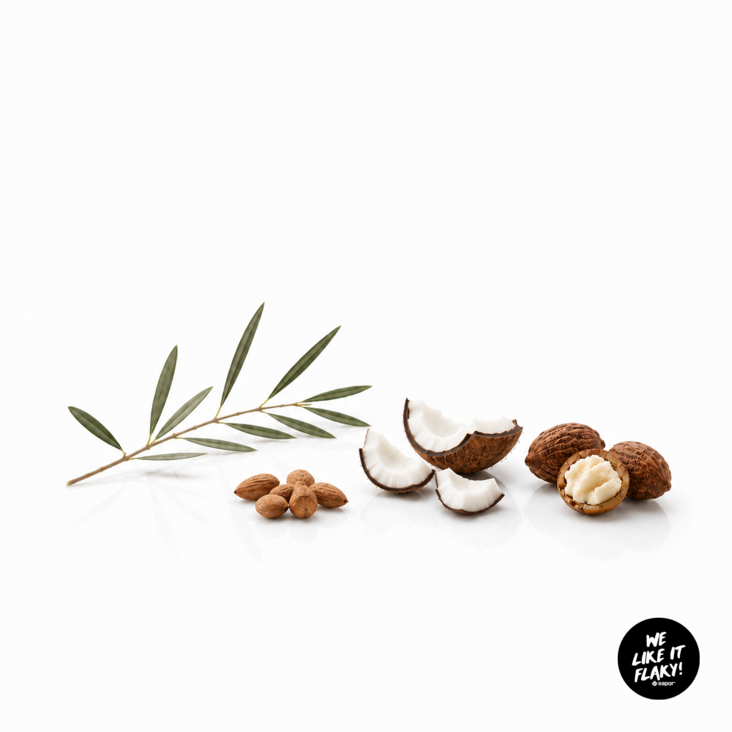 SAPOR Trockenseife - Schokolade Shea Butter